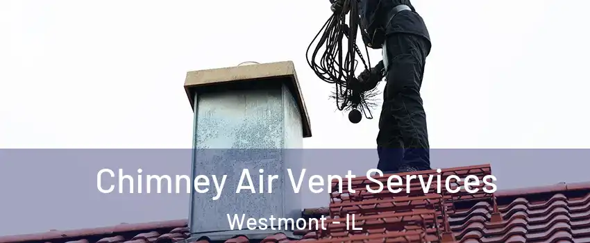  Chimney Air Vent Services Westmont - IL