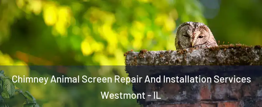  Chimney Animal Screen Repair And Installation Services Westmont - IL