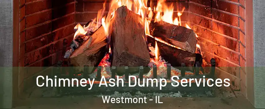  Chimney Ash Dump Services Westmont - IL