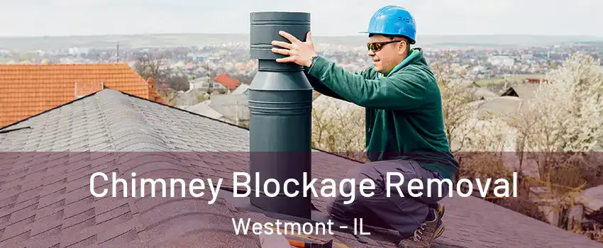  Chimney Blockage Removal Westmont - IL