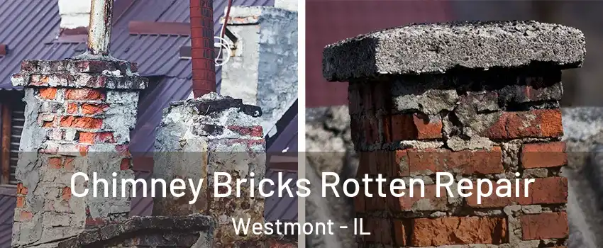  Chimney Bricks Rotten Repair Westmont - IL