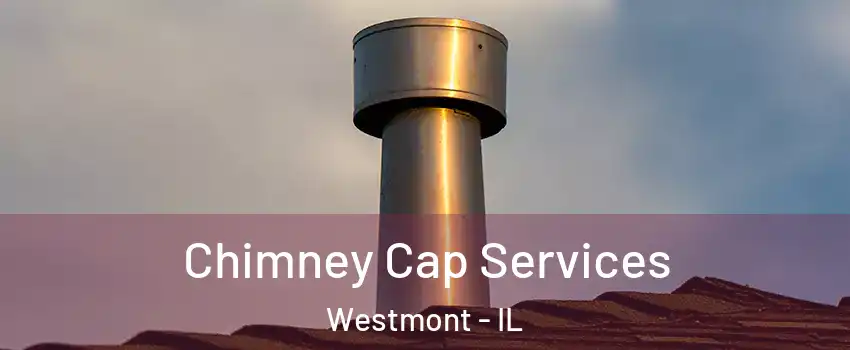  Chimney Cap Services Westmont - IL
