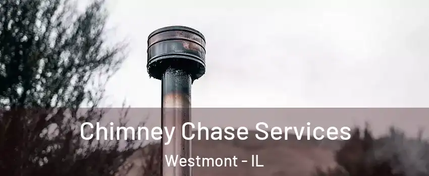  Chimney Chase Services Westmont - IL