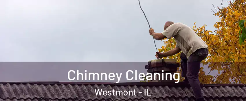  Chimney Cleaning Westmont - IL