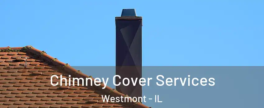  Chimney Cover Services Westmont - IL