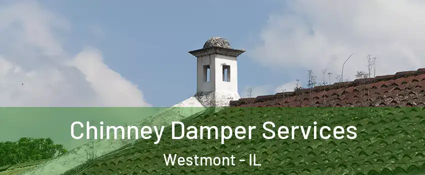  Chimney Damper Services Westmont - IL