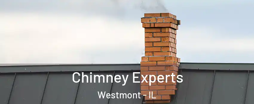 Chimney Experts Westmont - IL