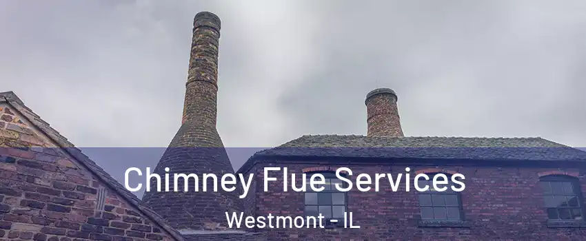  Chimney Flue Services Westmont - IL