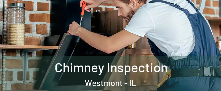  Chimney Inspection Westmont - IL