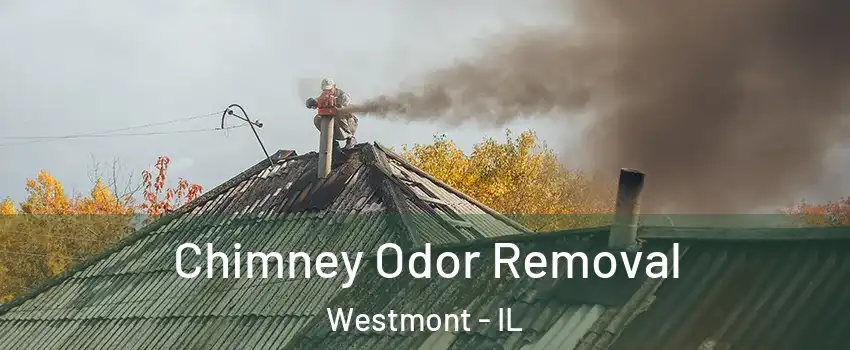  Chimney Odor Removal Westmont - IL