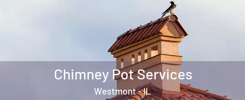  Chimney Pot Services Westmont - IL