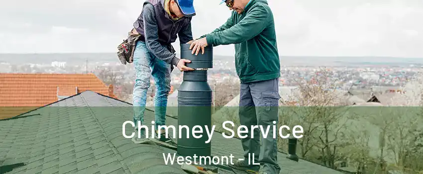  Chimney Service Westmont - IL