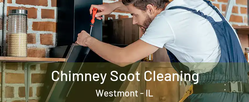  Chimney Soot Cleaning Westmont - IL