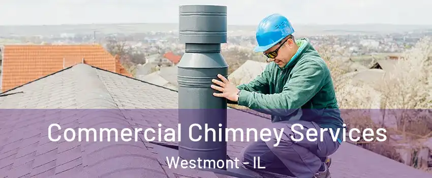  Commercial Chimney Services Westmont - IL