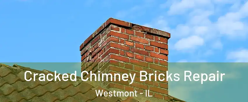  Cracked Chimney Bricks Repair Westmont - IL