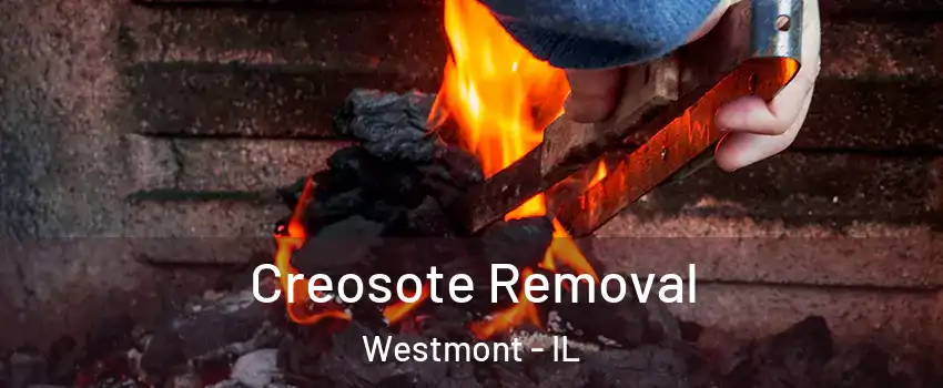  Creosote Removal Westmont - IL