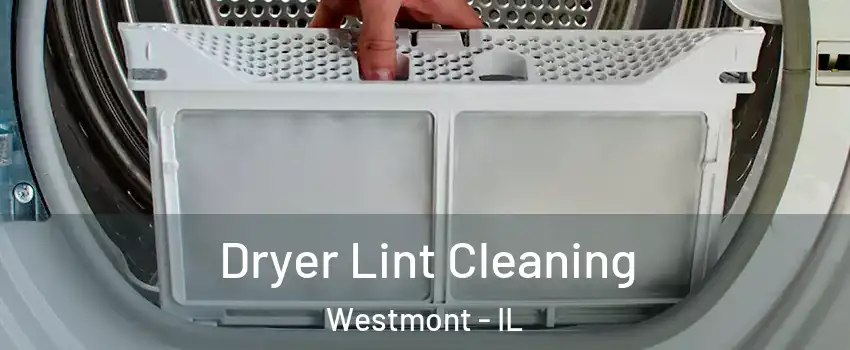  Dryer Lint Cleaning Westmont - IL