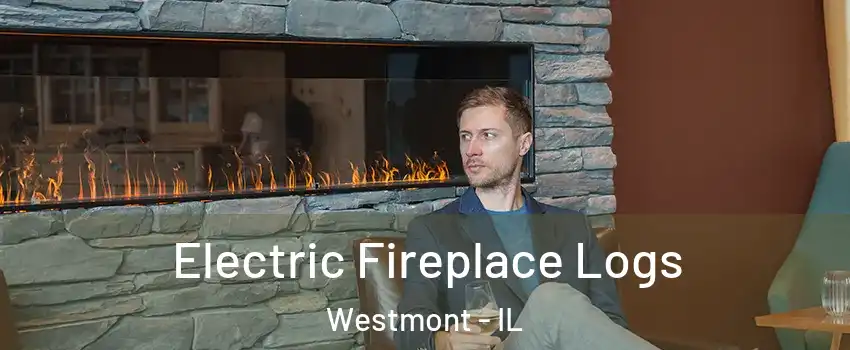  Electric Fireplace Logs Westmont - IL