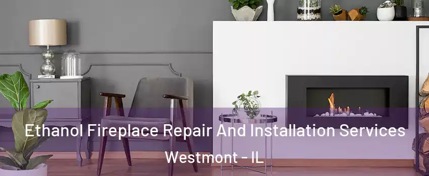  Ethanol Fireplace Repair And Installation Services Westmont - IL