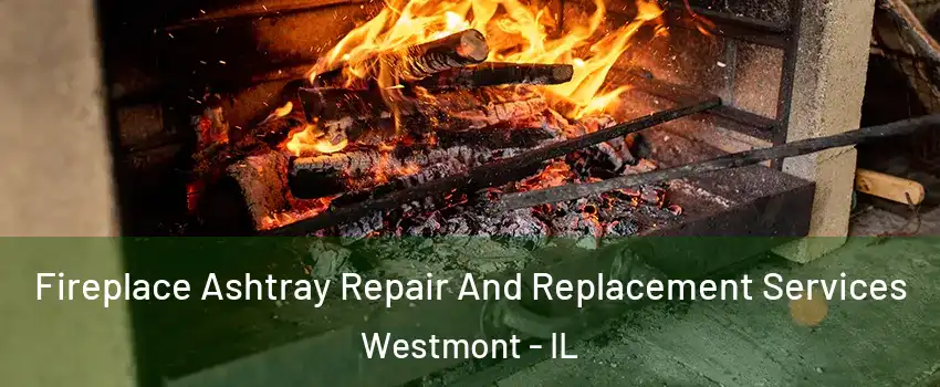  Fireplace Ashtray Repair And Replacement Services Westmont - IL