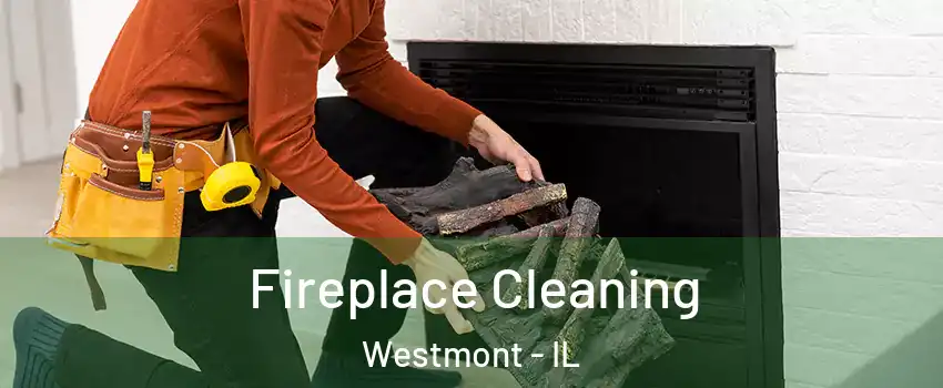  Fireplace Cleaning Westmont - IL