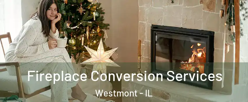  Fireplace Conversion Services Westmont - IL