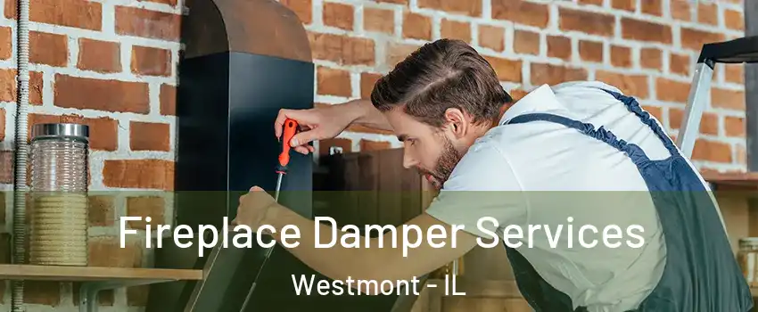  Fireplace Damper Services Westmont - IL