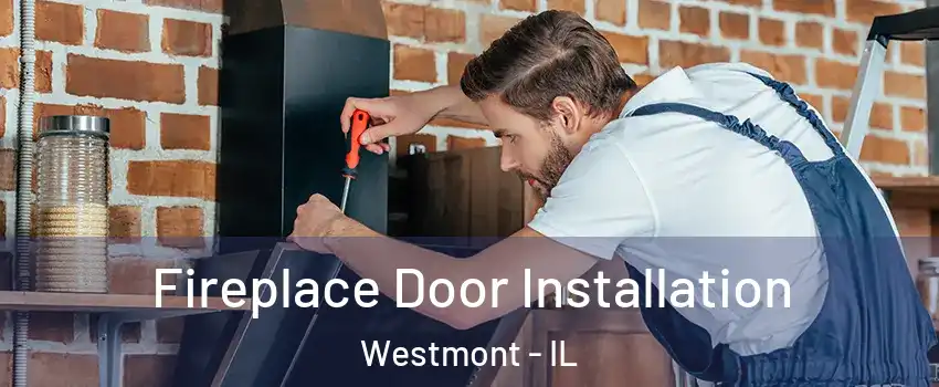  Fireplace Door Installation Westmont - IL