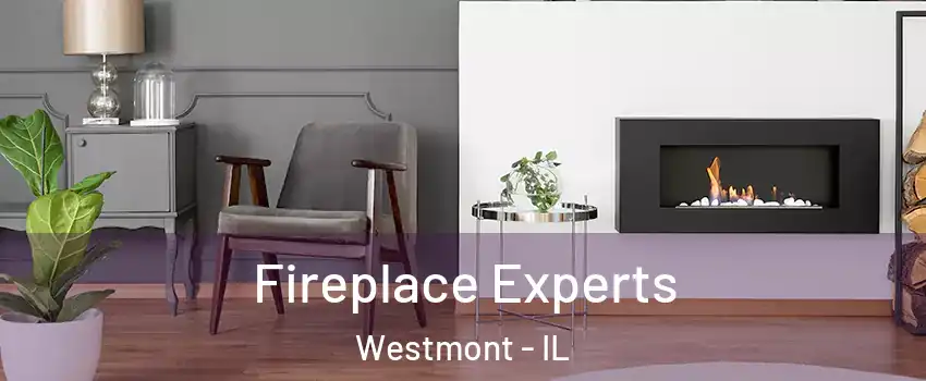  Fireplace Experts Westmont - IL