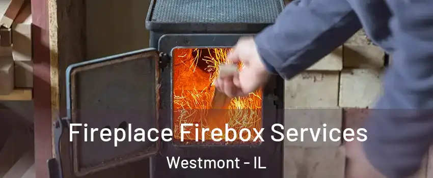  Fireplace Firebox Services Westmont - IL
