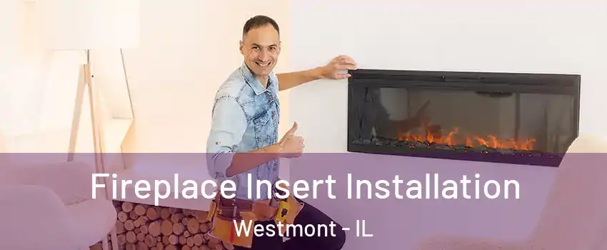  Fireplace Insert Installation Westmont - IL