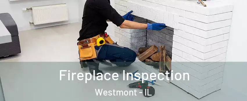  Fireplace Inspection Westmont - IL