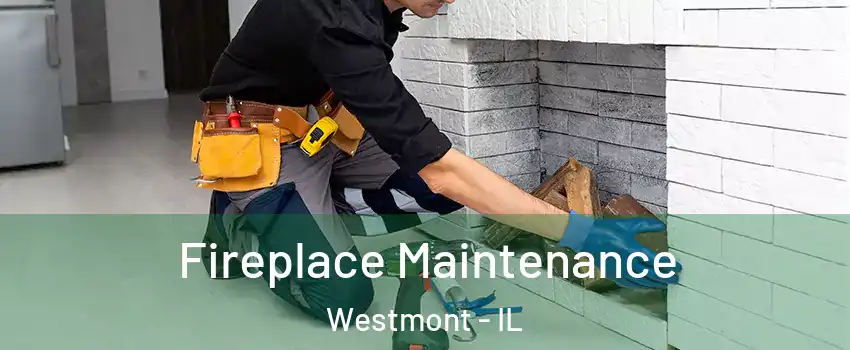  Fireplace Maintenance Westmont - IL