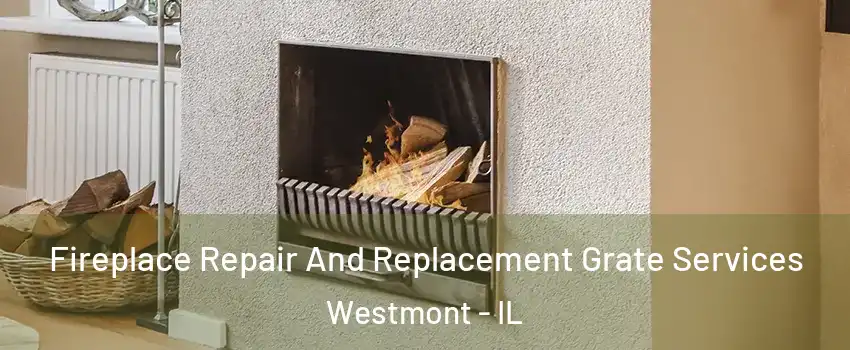  Fireplace Repair And Replacement Grate Services Westmont - IL