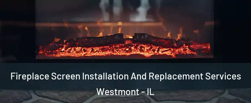  Fireplace Screen Installation And Replacement Services Westmont - IL