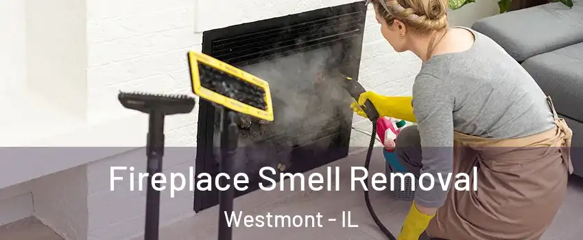  Fireplace Smell Removal Westmont - IL