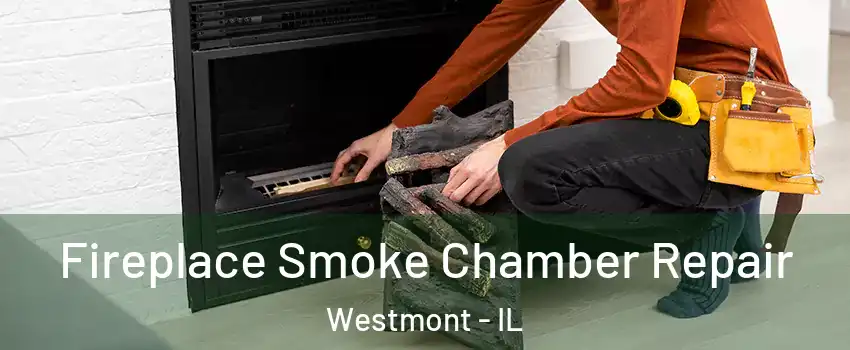  Fireplace Smoke Chamber Repair Westmont - IL