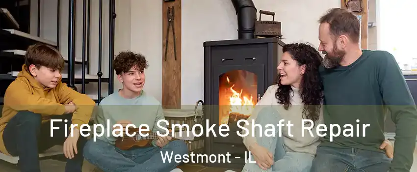  Fireplace Smoke Shaft Repair Westmont - IL