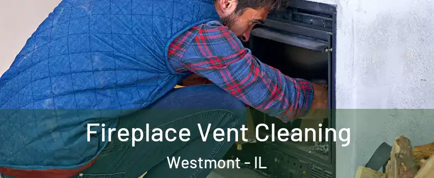  Fireplace Vent Cleaning Westmont - IL