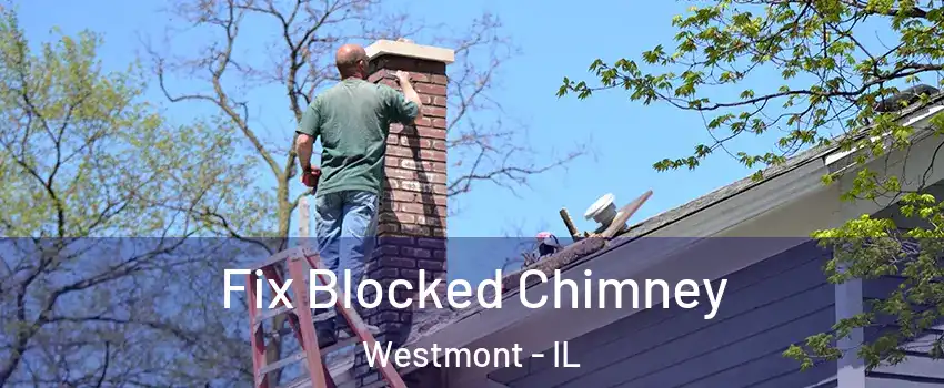  Fix Blocked Chimney Westmont - IL