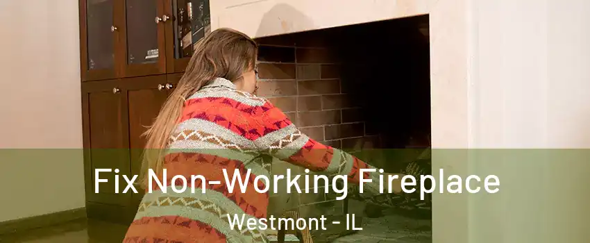  Fix Non-Working Fireplace Westmont - IL
