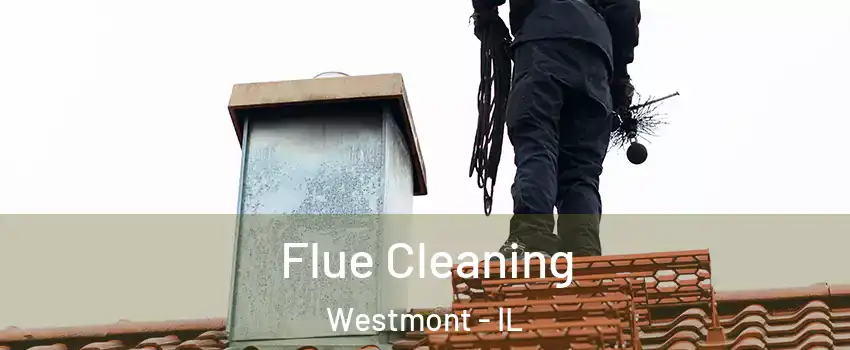  Flue Cleaning Westmont - IL