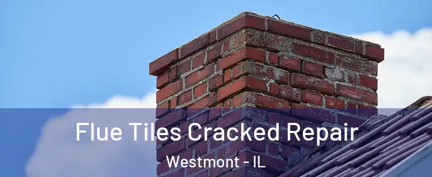  Flue Tiles Cracked Repair Westmont - IL