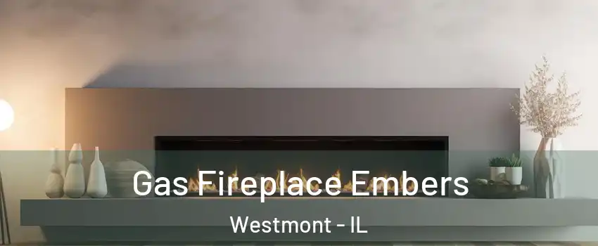  Gas Fireplace Embers Westmont - IL