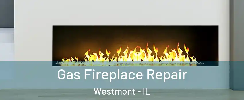  Gas Fireplace Repair Westmont - IL