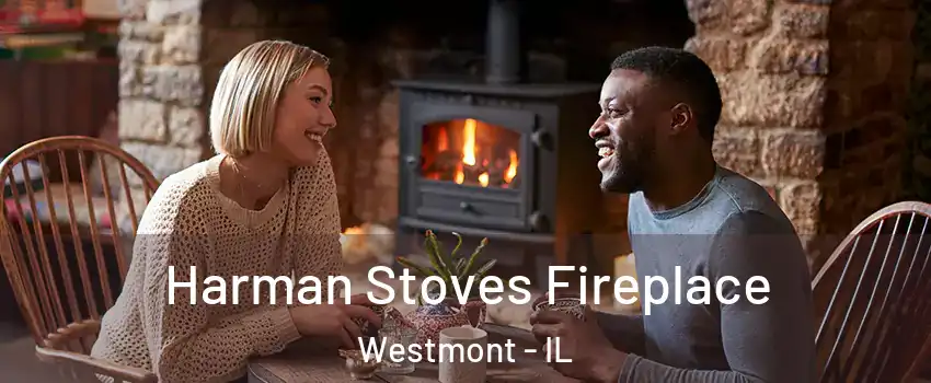  Harman Stoves Fireplace Westmont - IL