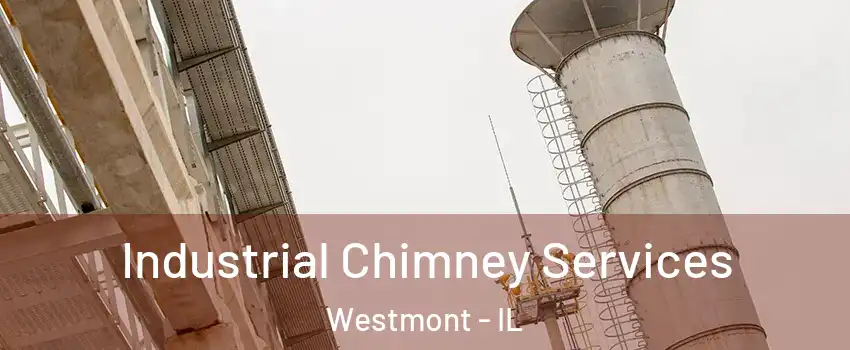  Industrial Chimney Services Westmont - IL