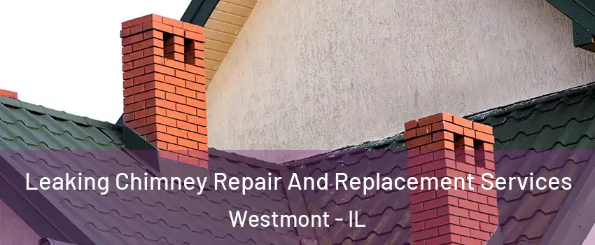  Leaking Chimney Repair And Replacement Services Westmont - IL
