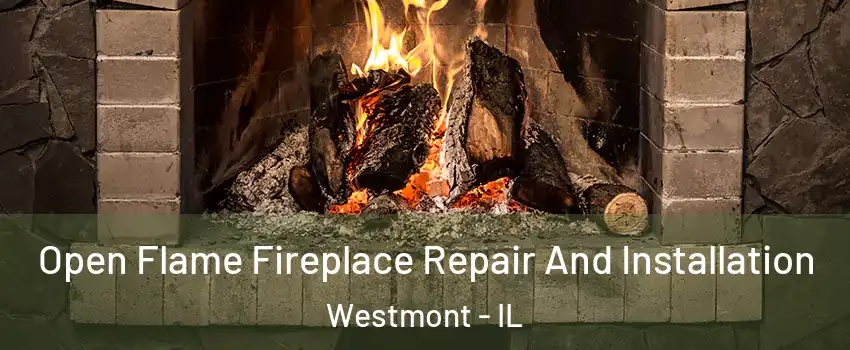  Open Flame Fireplace Repair And Installation Westmont - IL