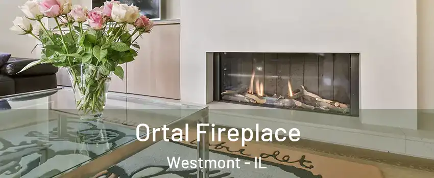 Ortal Fireplace Westmont - IL